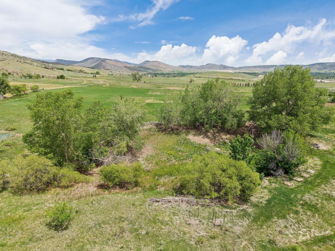 65-acre Equestrian Opportunity in Boulder County - photo 17
