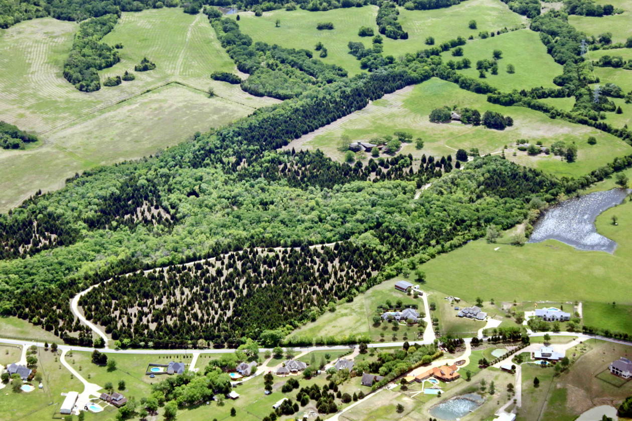 78+ Acres with Trees, 4 Homes,Town of Sunnyvale, Texas close