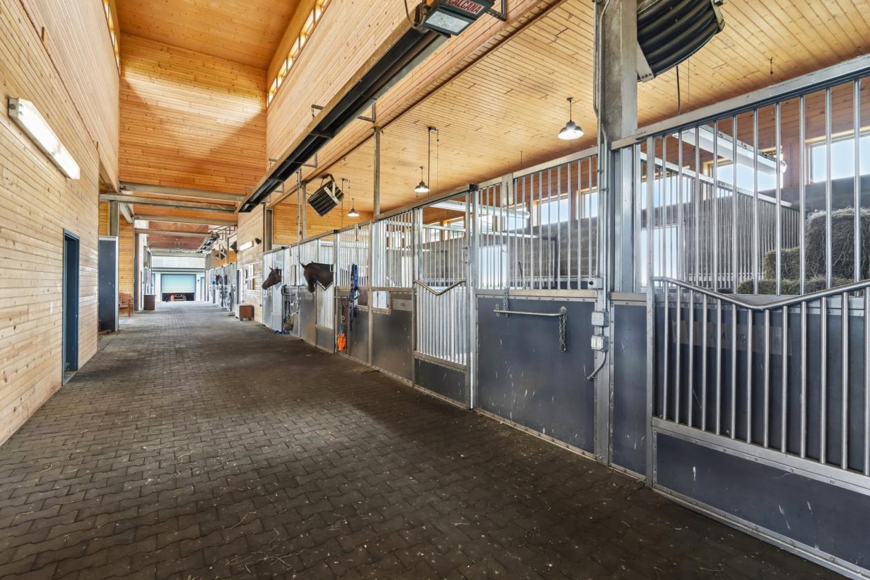 Luxury Equestrian center - photo 11