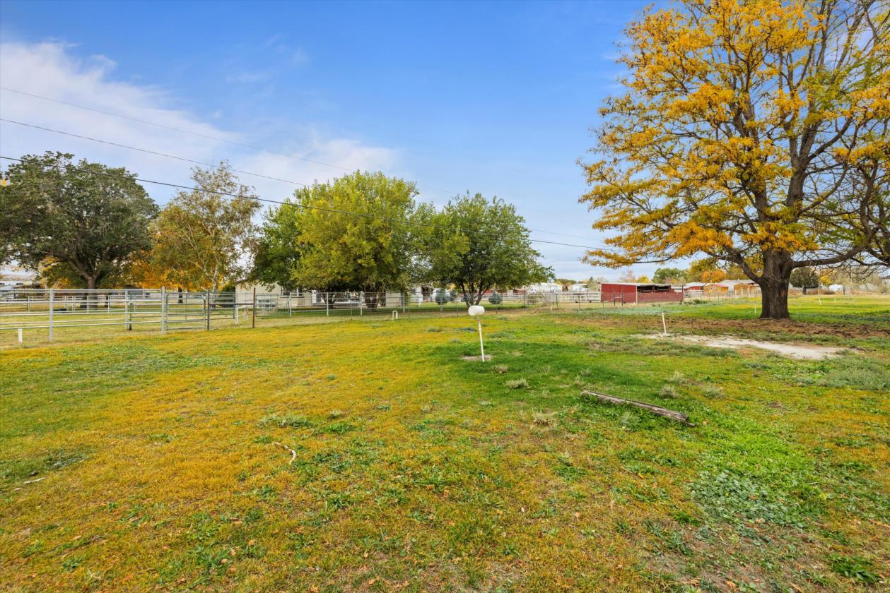 Horse acreage! Irrigated! In-laws quarters! - photo 19