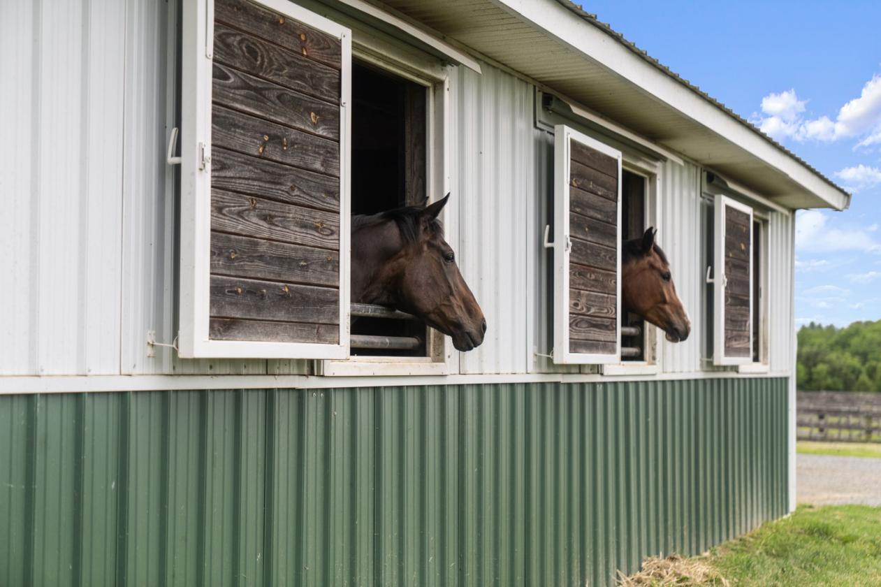 57 Stalls Indoor Arena ~Outdoor Arena ~25 Acres - photo 10