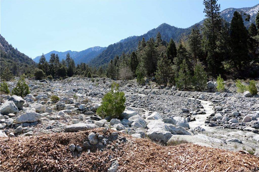 Forest Falls Luxury Estate Forest Falls, San Bernardino County