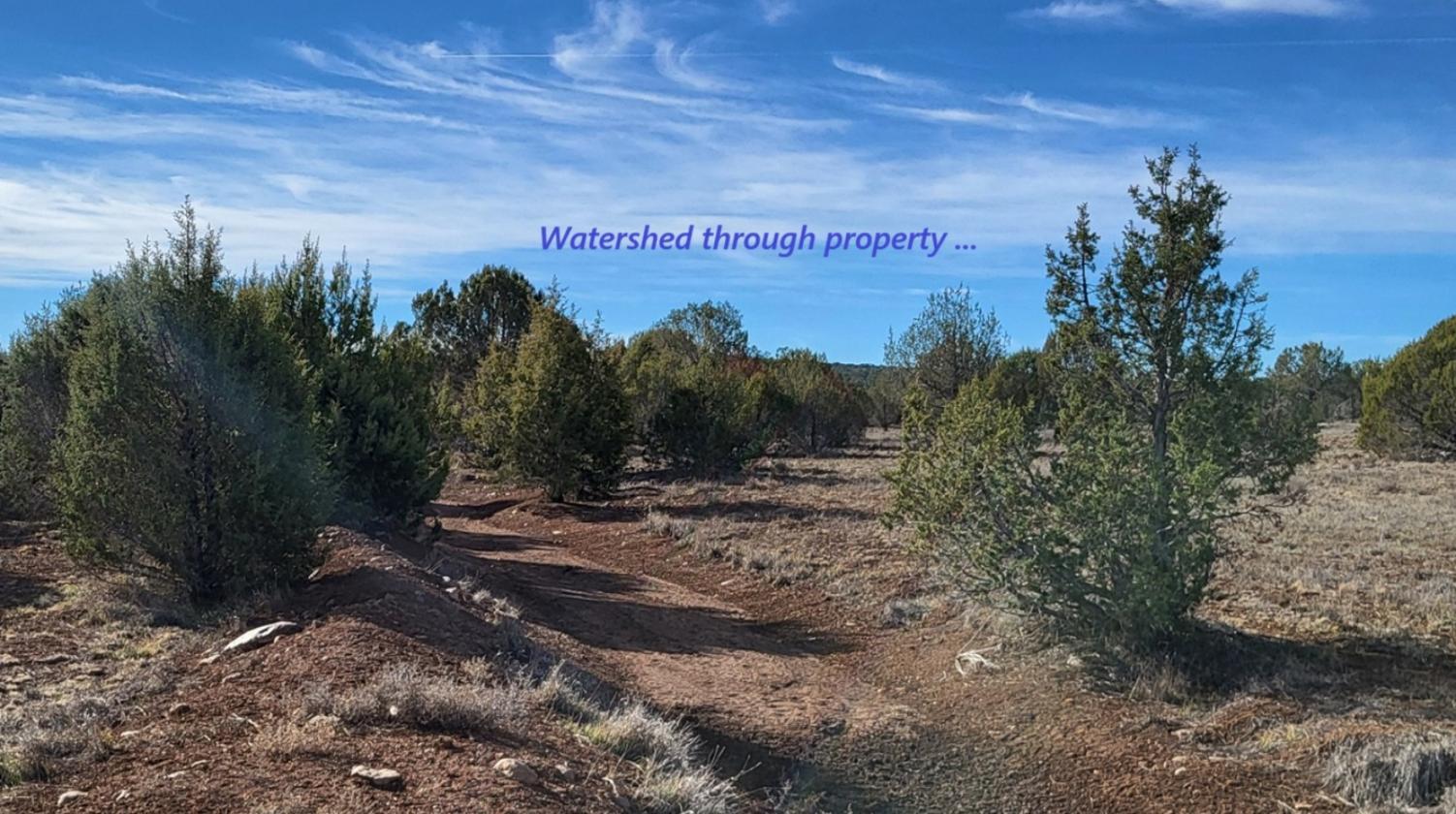 Ranch Ready - Northern AZ - 47.2 Acres - Fenced - photo 26