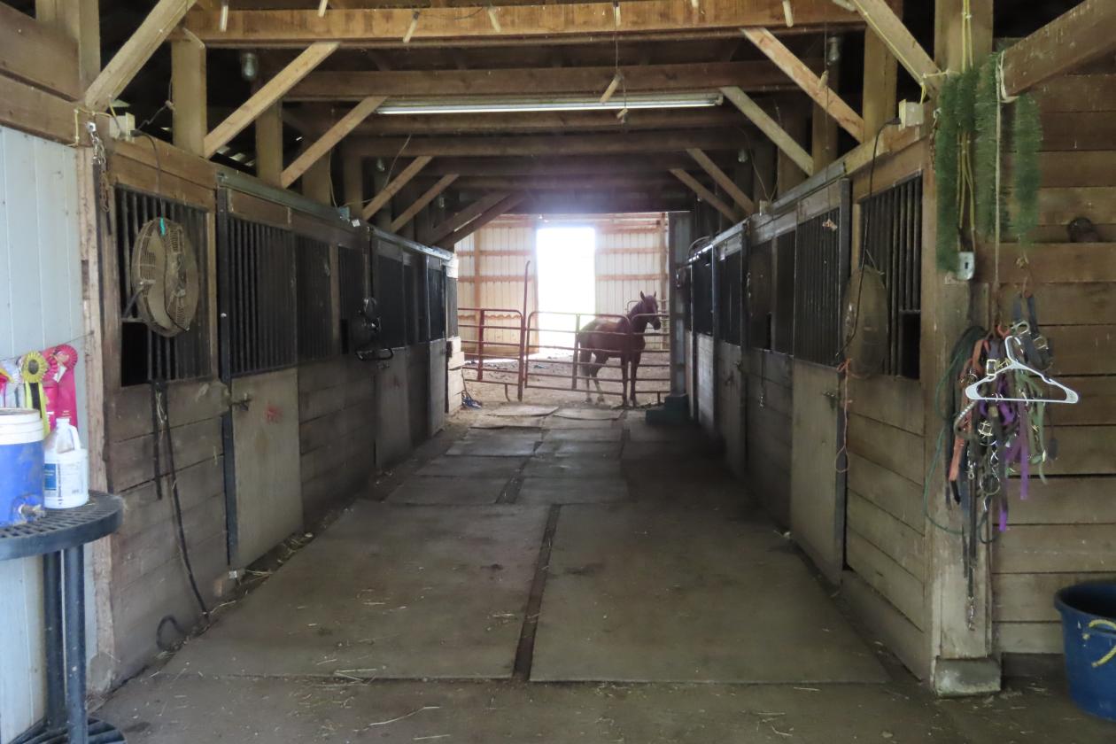 16 +/- acres Equestrian Property - photo 29
