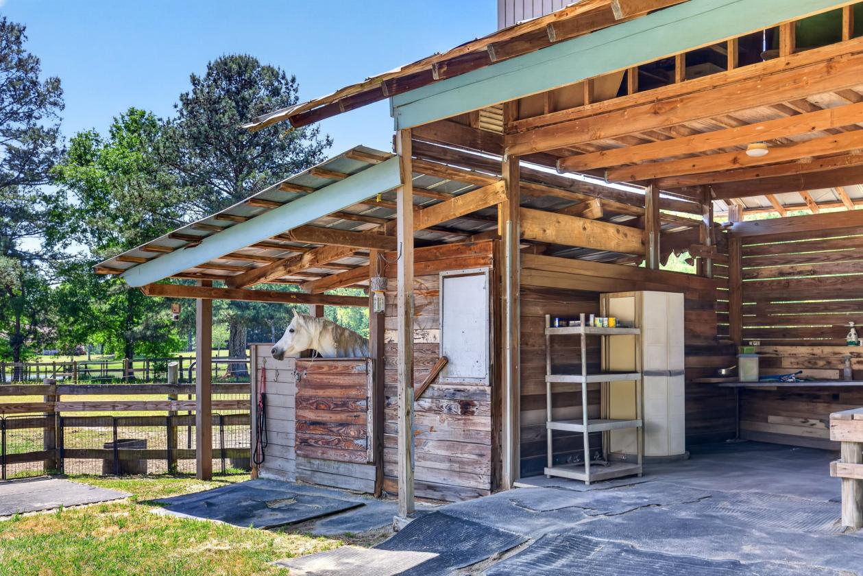 Experience the Ultimate Equestrian Lifestyle - photo 16