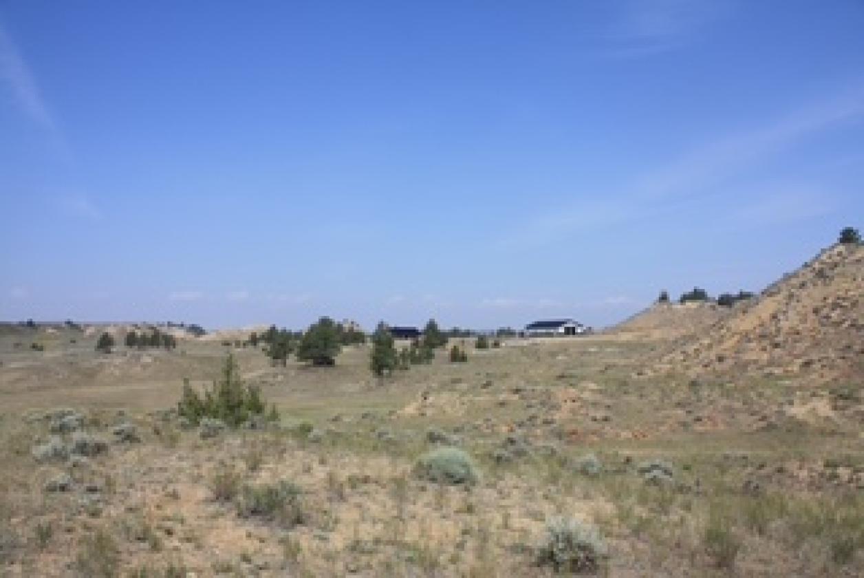 Piece of Heaven on 75 Acres - photo 4
