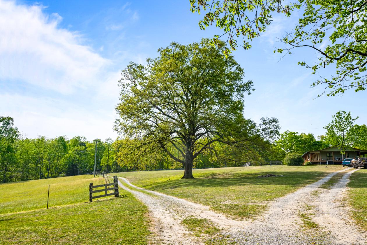 60+ Acre Farm just outside Big South Fork NRRA! - photo 21