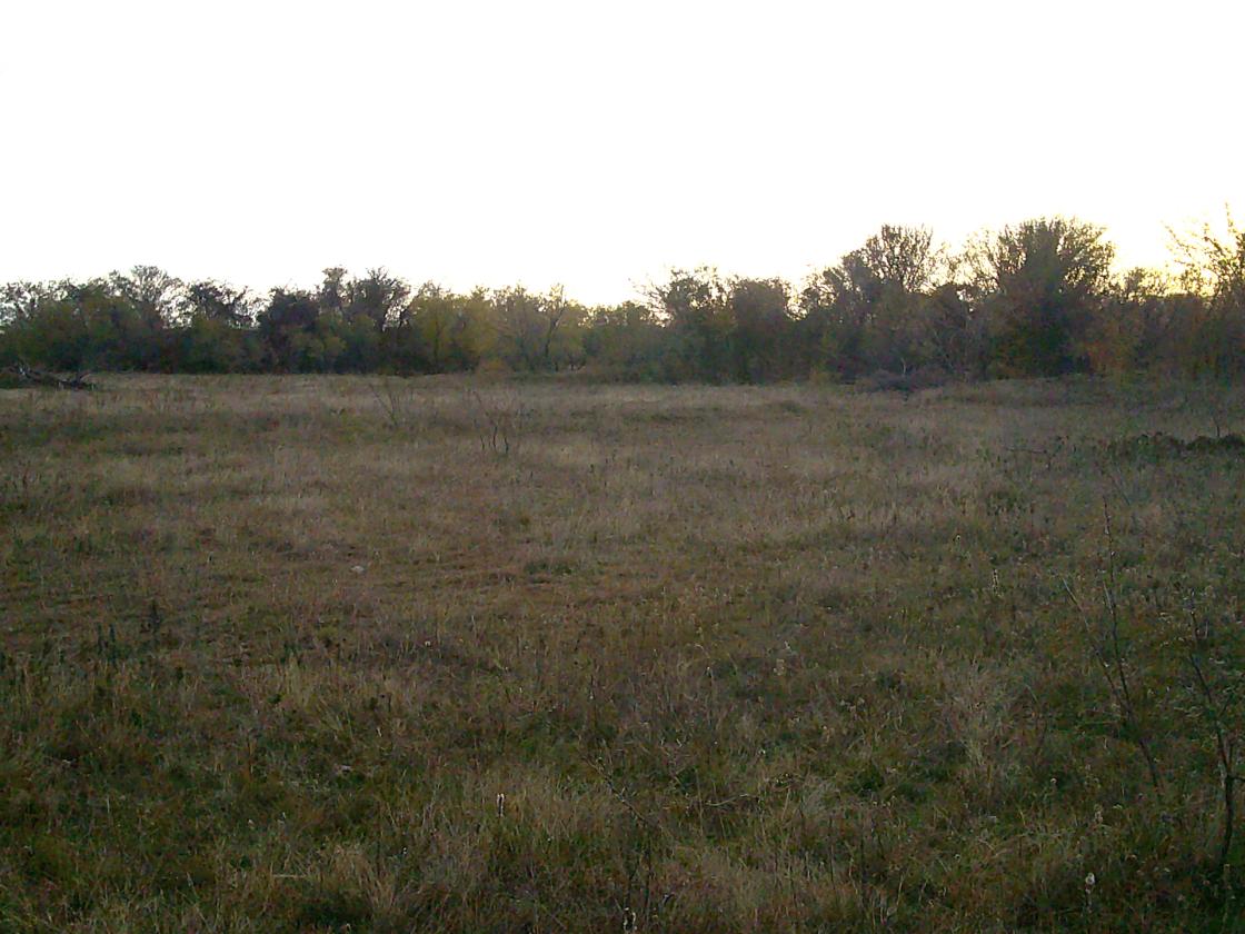 Horse Pasture With ponds - photo 6