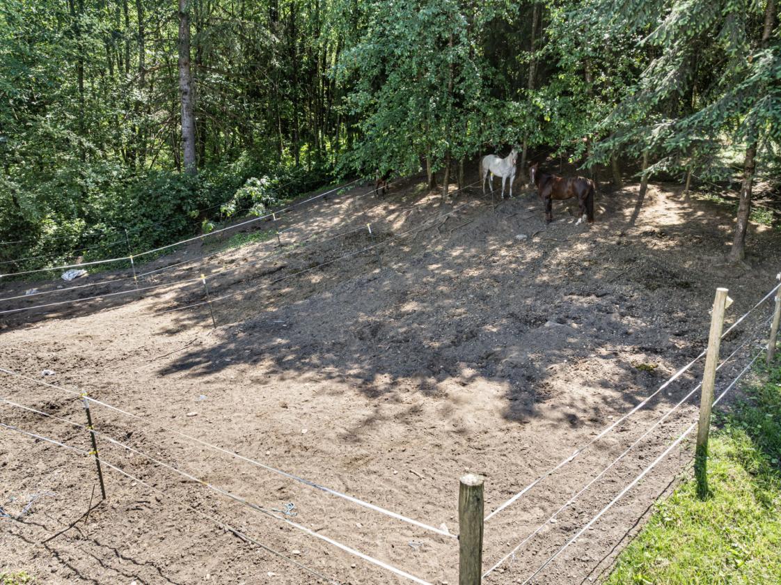 Bring Your Horses, Goats & Gardening Dreams - photo 5