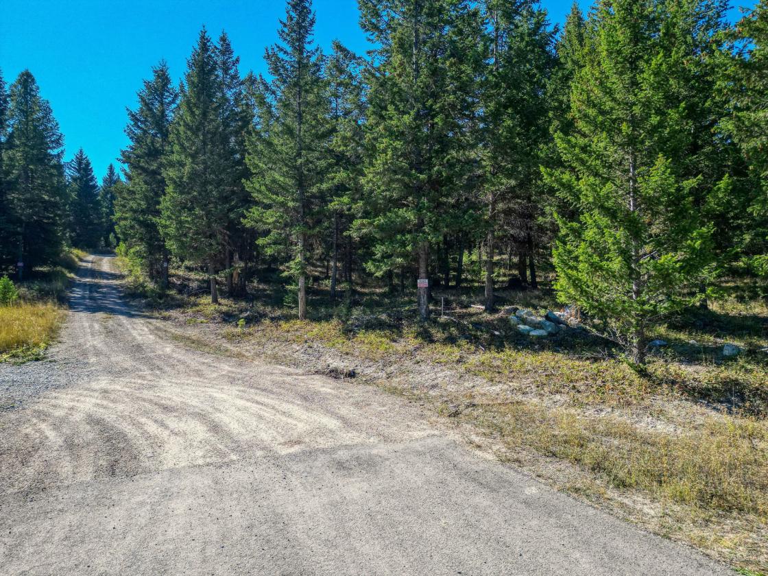 350 Acres & Private Access to MT Forest Service - photo 12
