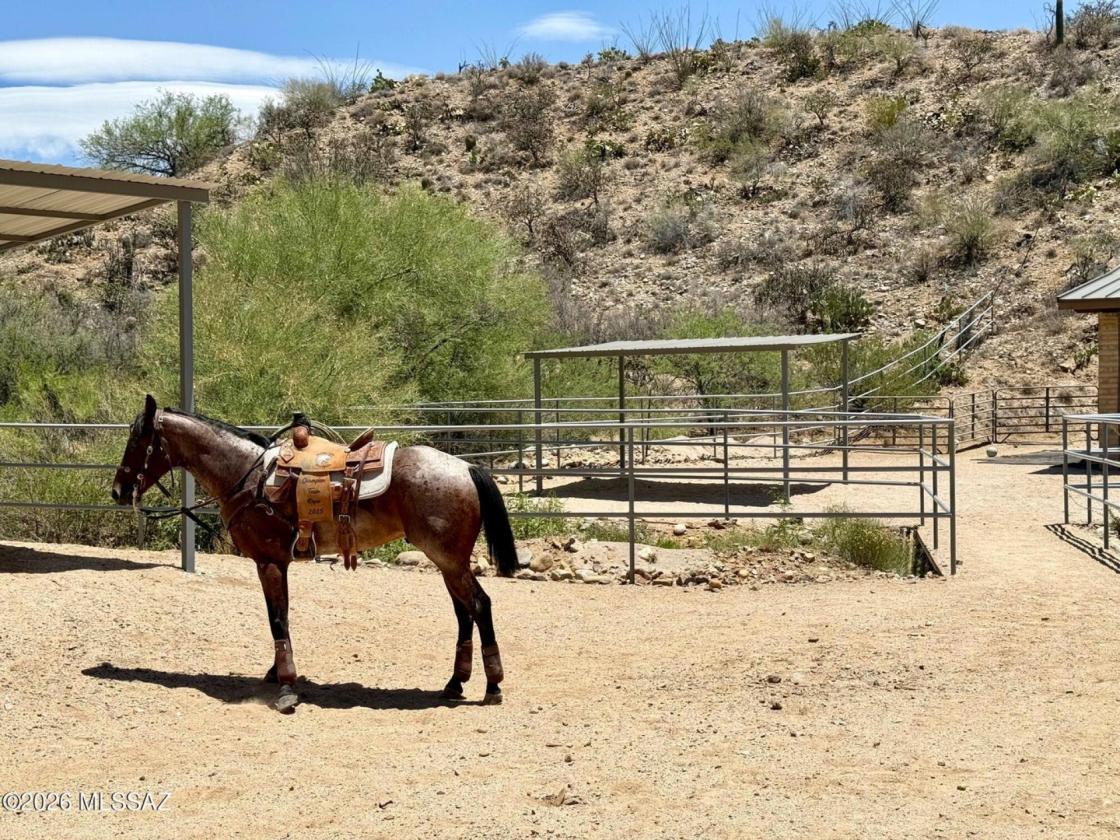 Private Ranch Estate with Stables - photo 9