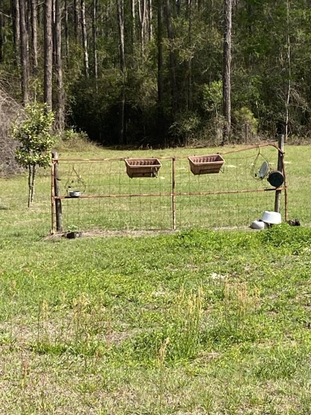 20 ACRE BEAUTIFULLY WOODED HOMESTEAD - photo 19