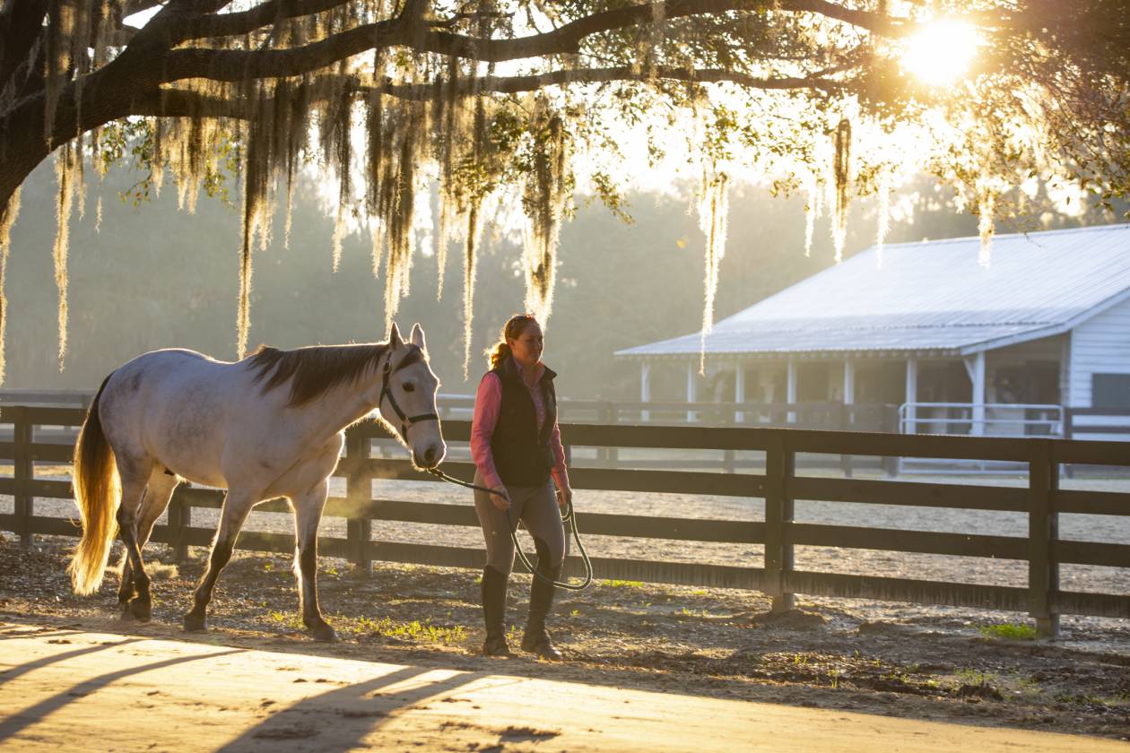 One-of-a-Kind Home in Equestrian Community - photo 25