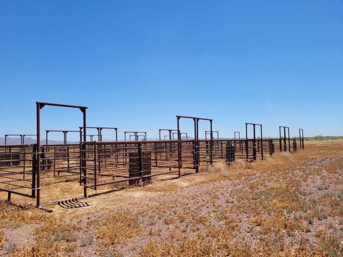 Eagle Eye - 10± Acres - photo 8