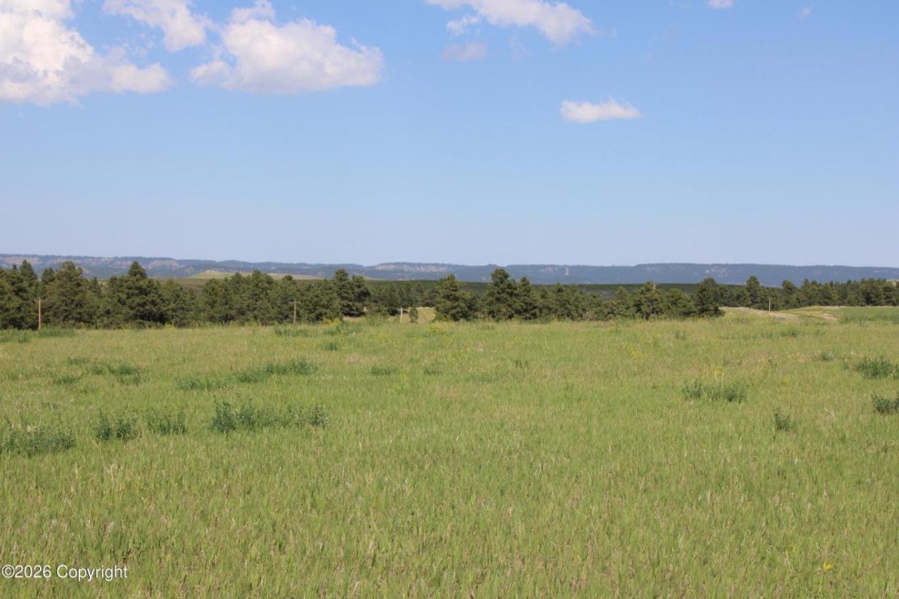 Tract 14 Belle River Ranch- NO Covenants -35+ Acre - photo 13