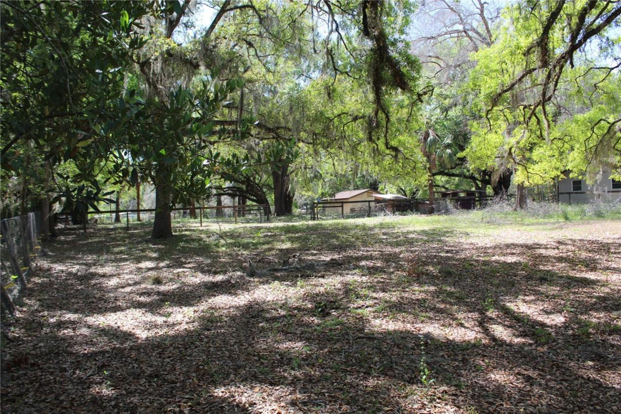 3 Acres close to Town - photo 24