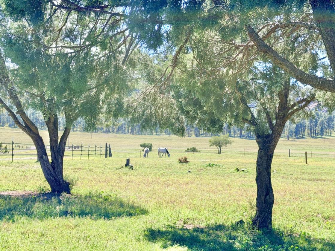 20+ Acre Horse Property w/ Direct Trail Access - photo 28
