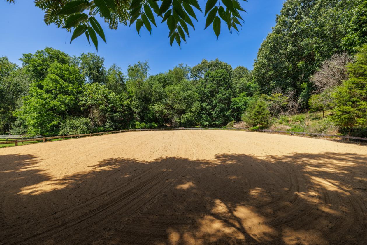 Morley Ridge Park - photo 24