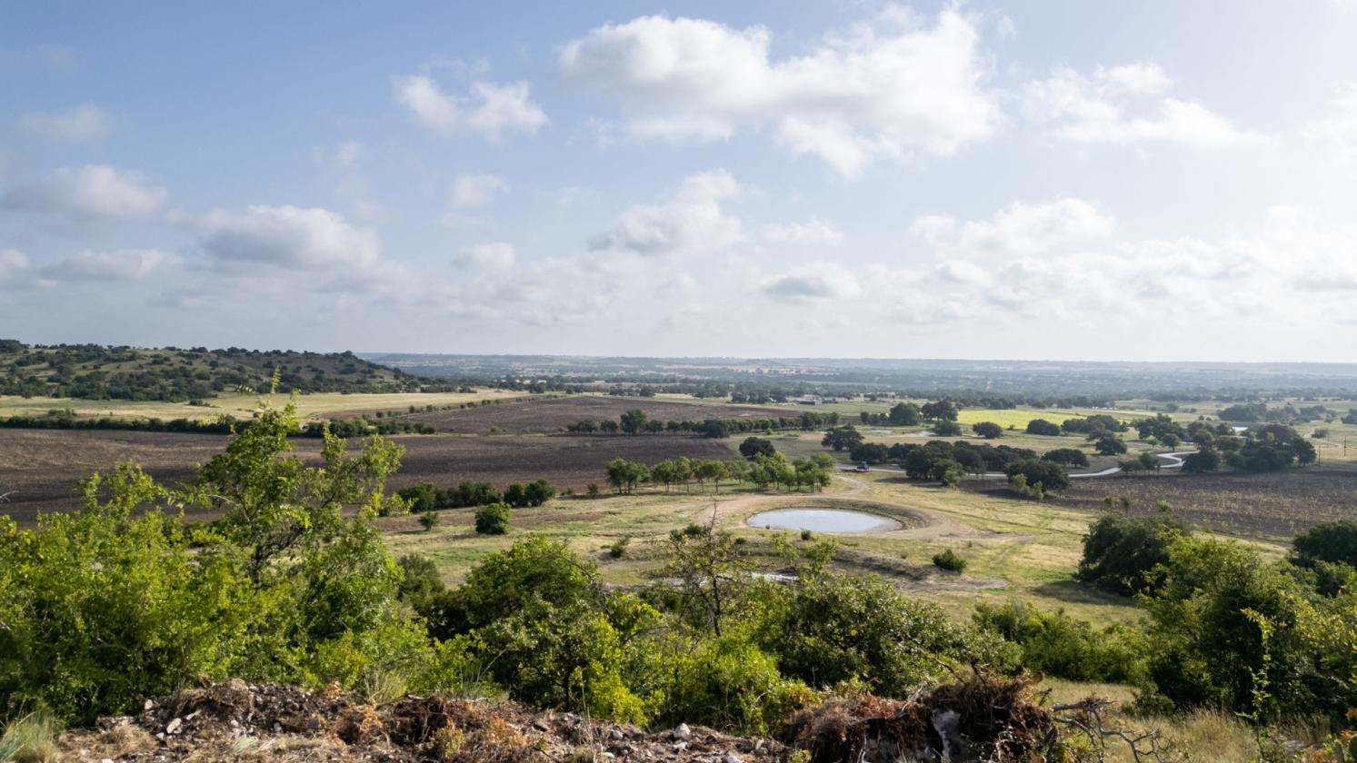 60 Acres in Star - Ready for Horses! - photo 7