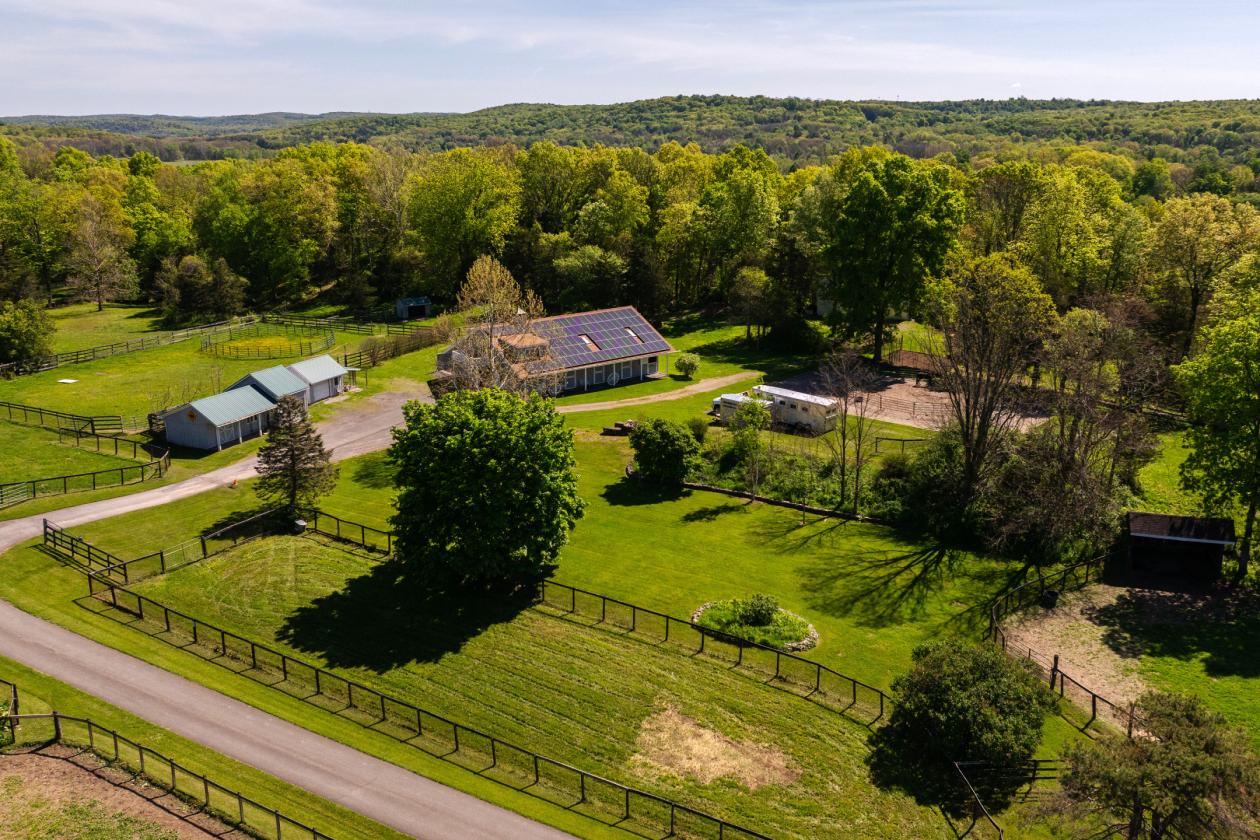 WhistleWood Farm - photo 4