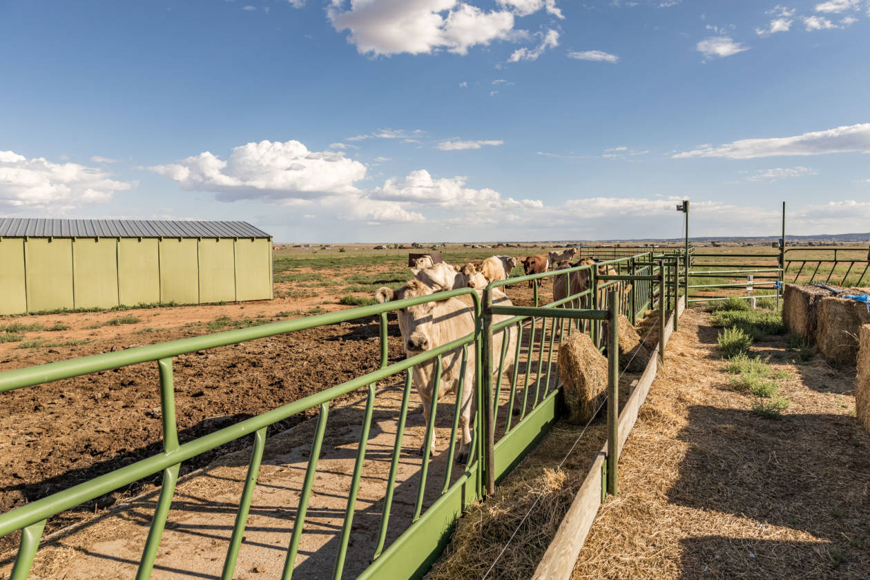 Southern Santa Fe County NM Cattle Ranch For Sale House... Edgewood