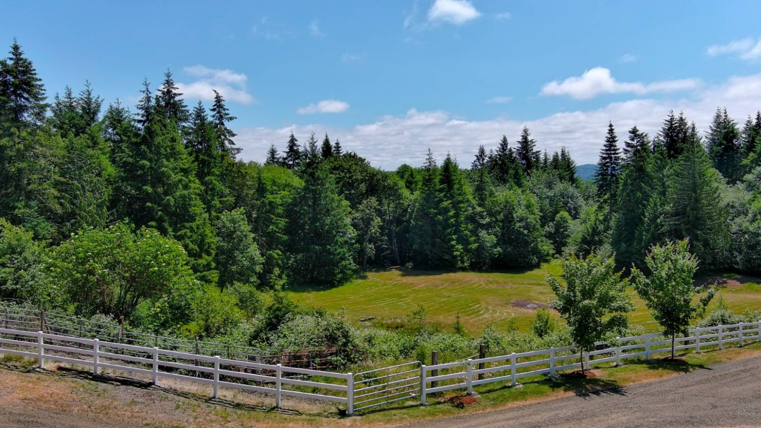 27 Acre Forest Trails Wonderland - photo 16