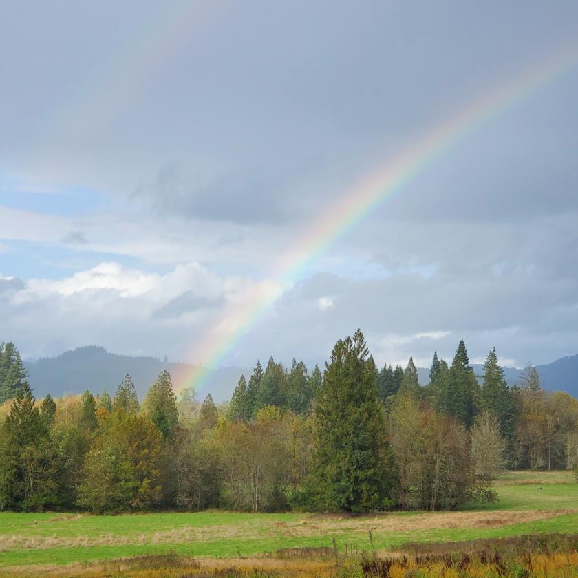 33.59 Acres with Barn, Shop & Mt. St. Helens Views - photo 8