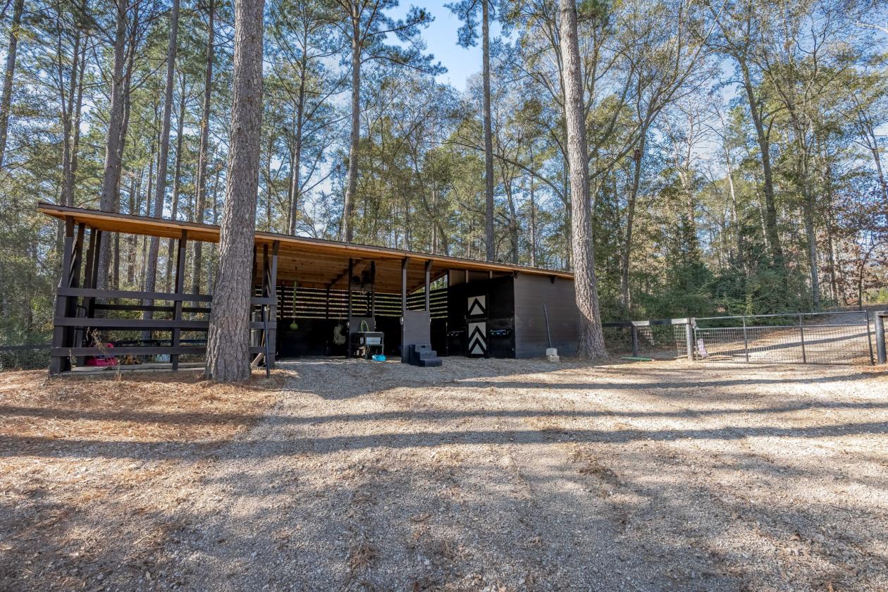 1️⃣2️⃣7️⃣ Martin Hollow Road - photo 4