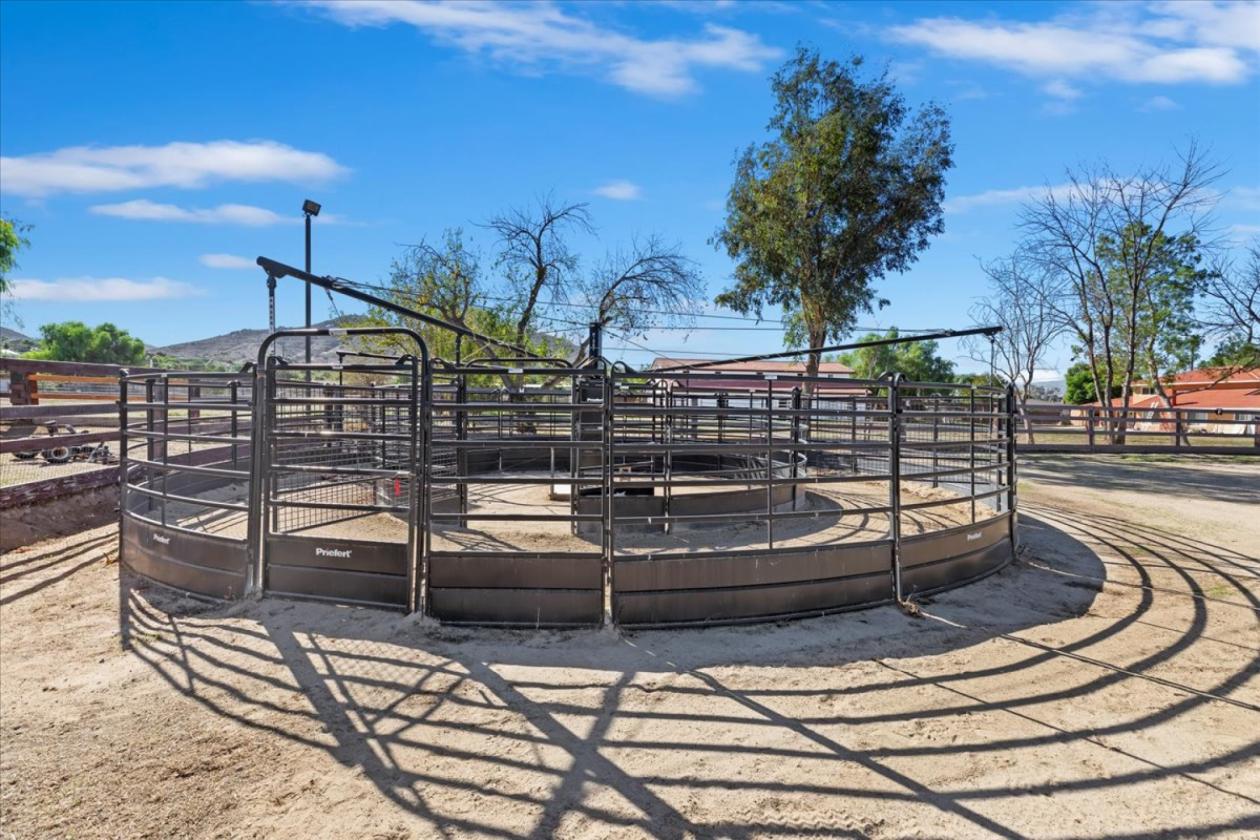 Horse Ranch in Horse Town USA - photo 8