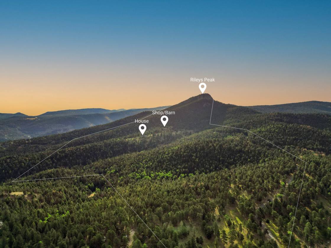 Horse Property for sale.