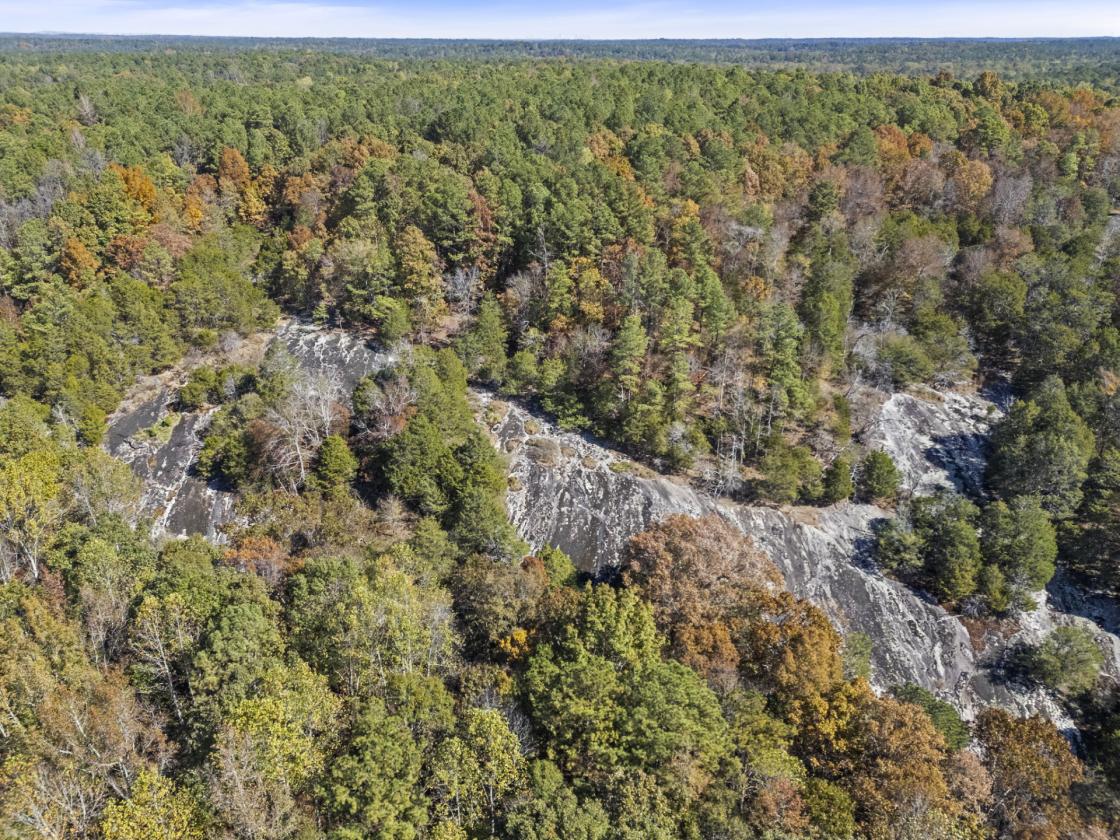 Rare South Fulton ACREAGE with Log Cabin - photo 7
