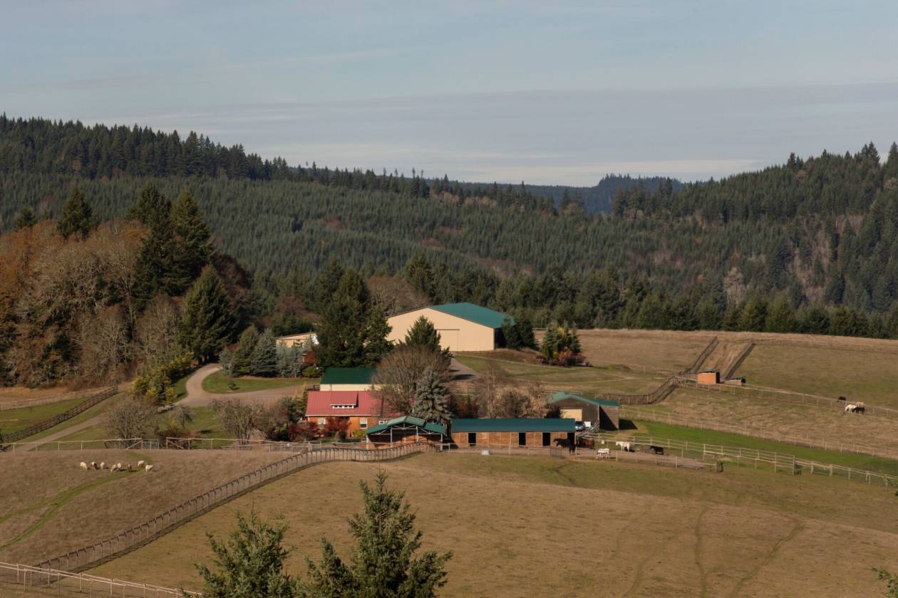 WORLD CLASS EQUESTRIAN FACILITY WITH STUNNING VIEWS Yamhill, Yamhill