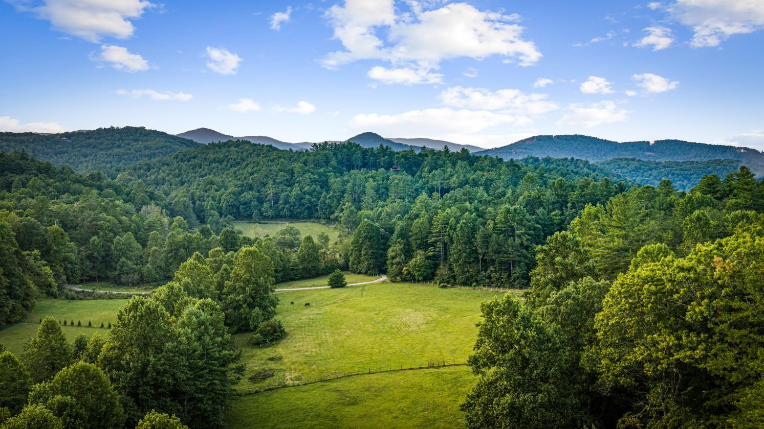 WHAT IF YOUR BACKYARD WAS USFS LAND? - photo 25