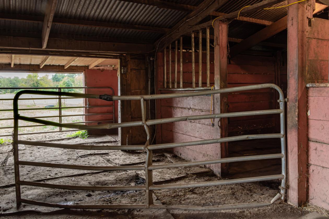 100 Acre Equestrian Estate with Infrastructure - photo 7