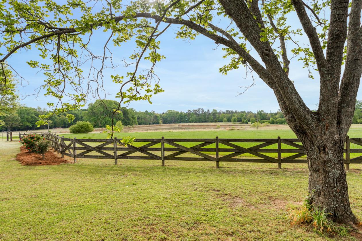 Piney Mount Farm - photo 5