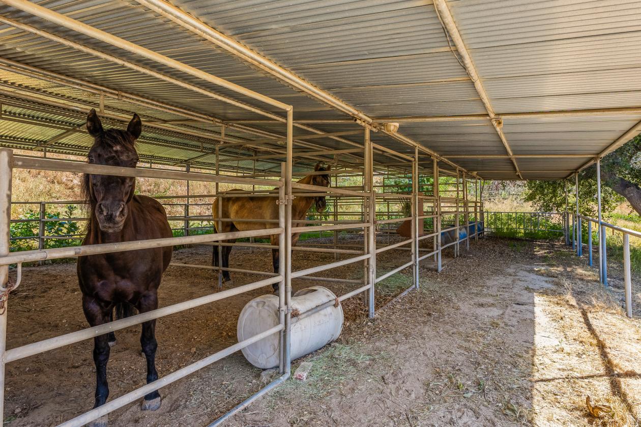 Sand Canyon Horse Property | 2.5 Acres & 4 Stalls - photo 5