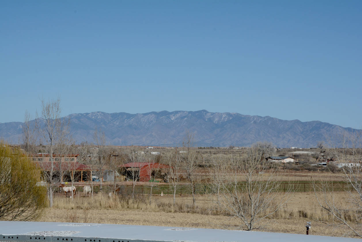 PEACEFUL AND SERENE Veguita, Socorro County, New Mexico Horse