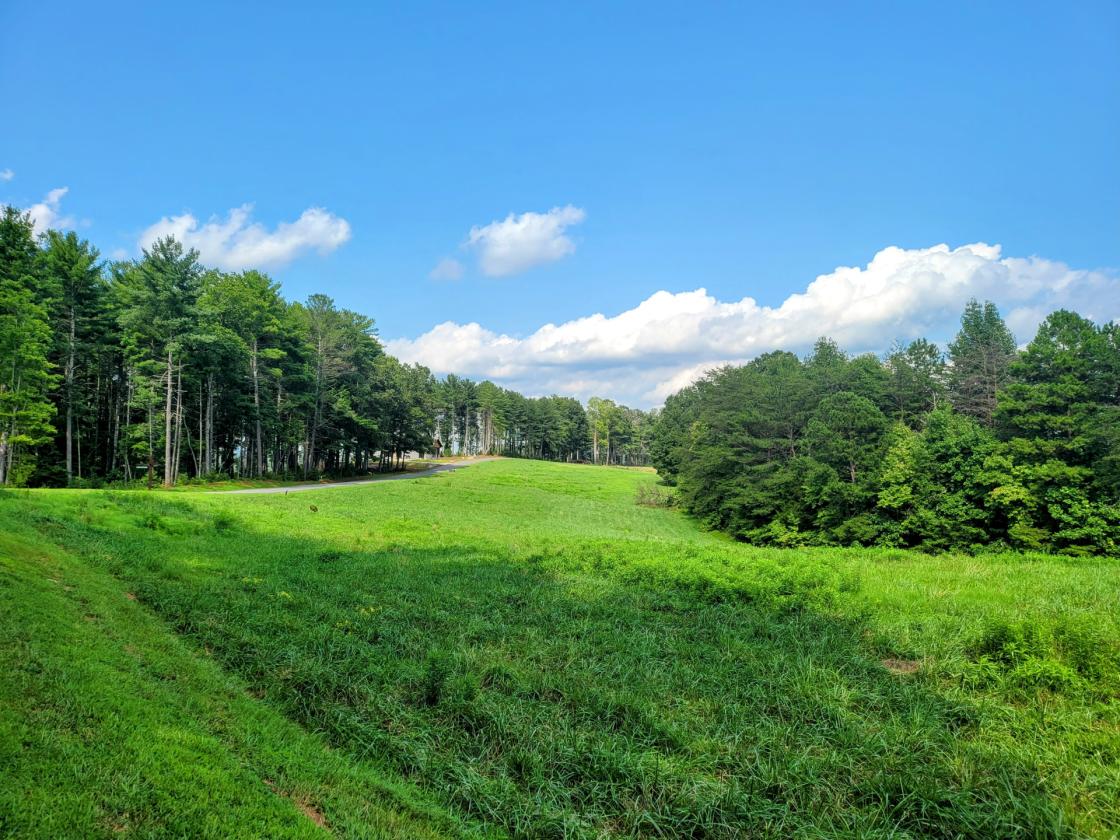 12.49 acres in Equestrian Gated Community! - photo 4