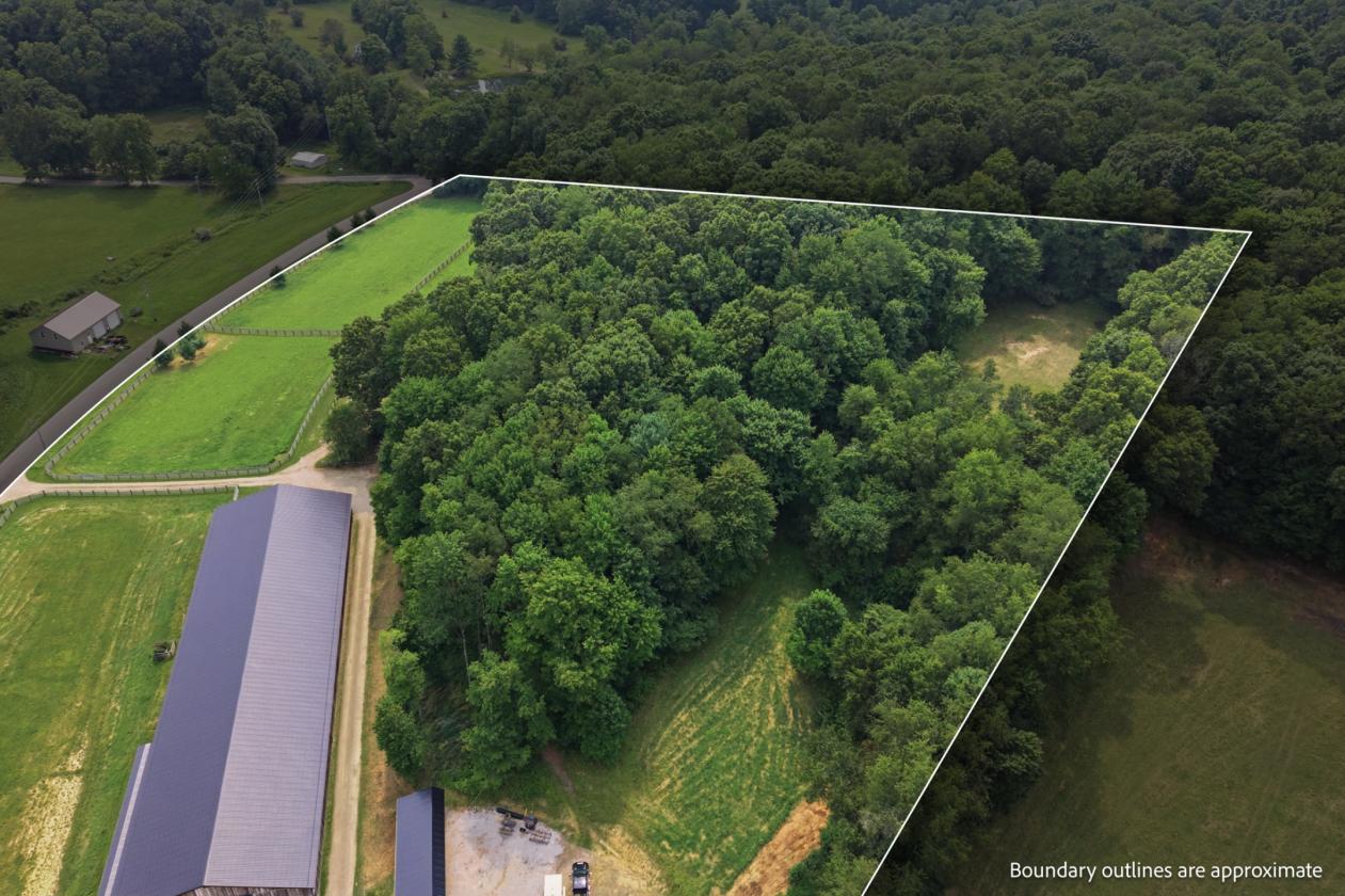 Exceptional Mohican Equine Estate Auction - photo 30