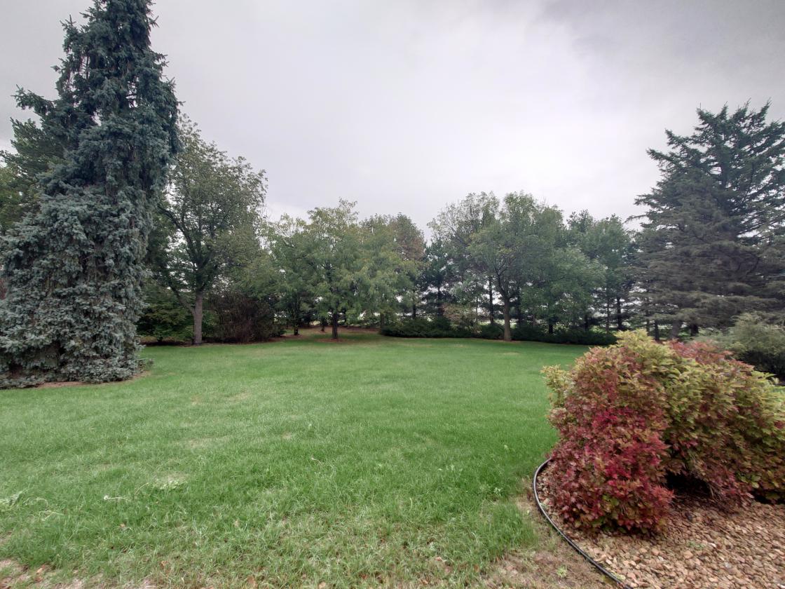 10 Acres & Home 20 min NW of Maple Grove in Otsego - photo 27