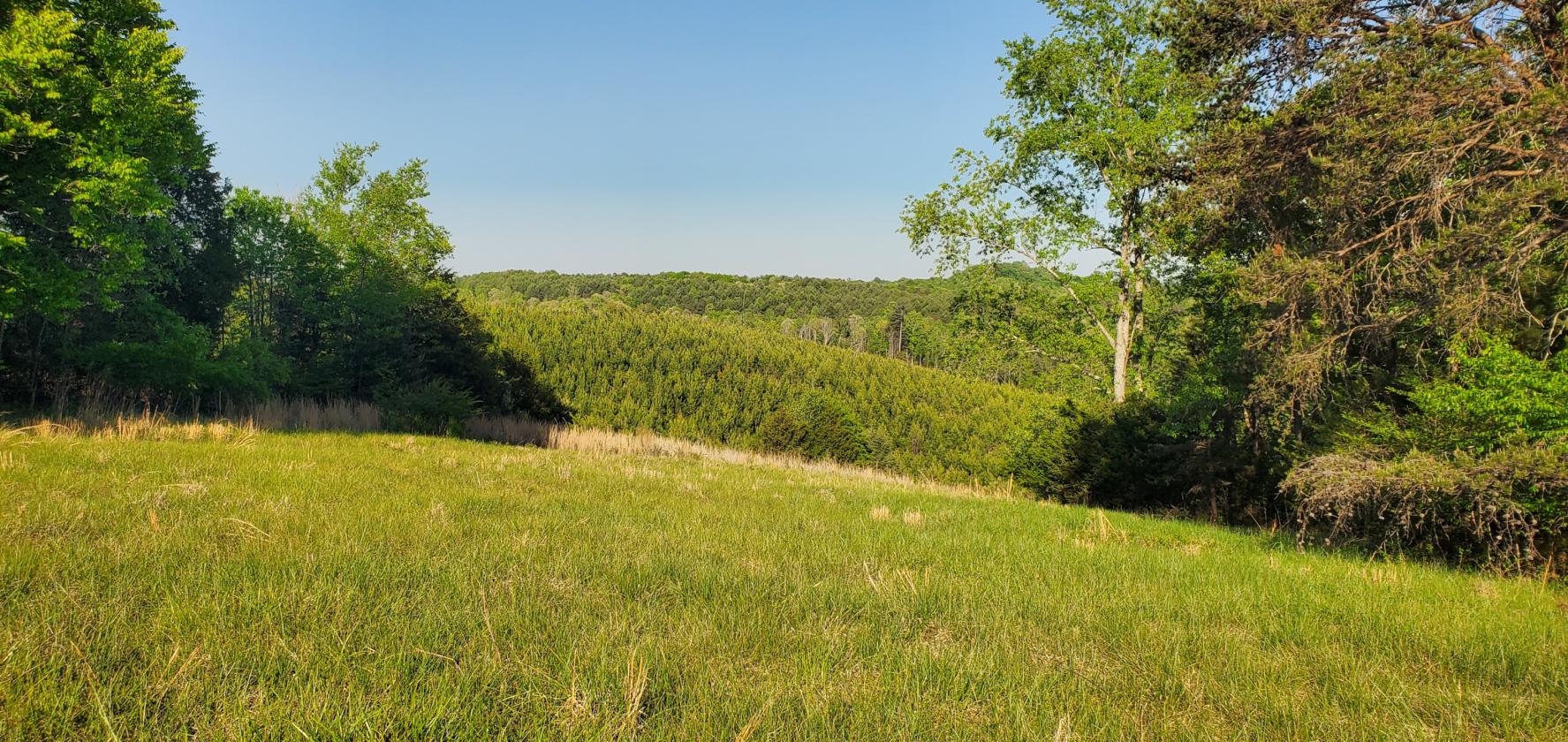 1,060 Self-Sustaining Acres in Alexander County - photo 7