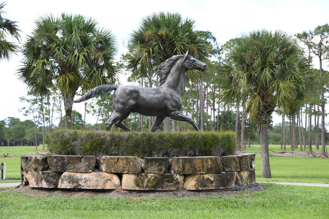 Horse Farm for sale Okeechobee, Okeechobee County, Florida