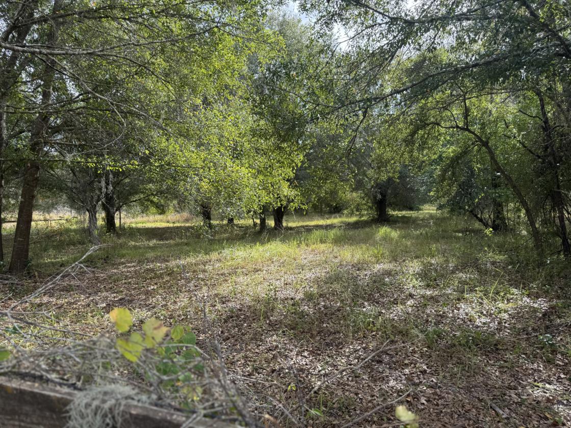 15 Acres Keystone - photo 6