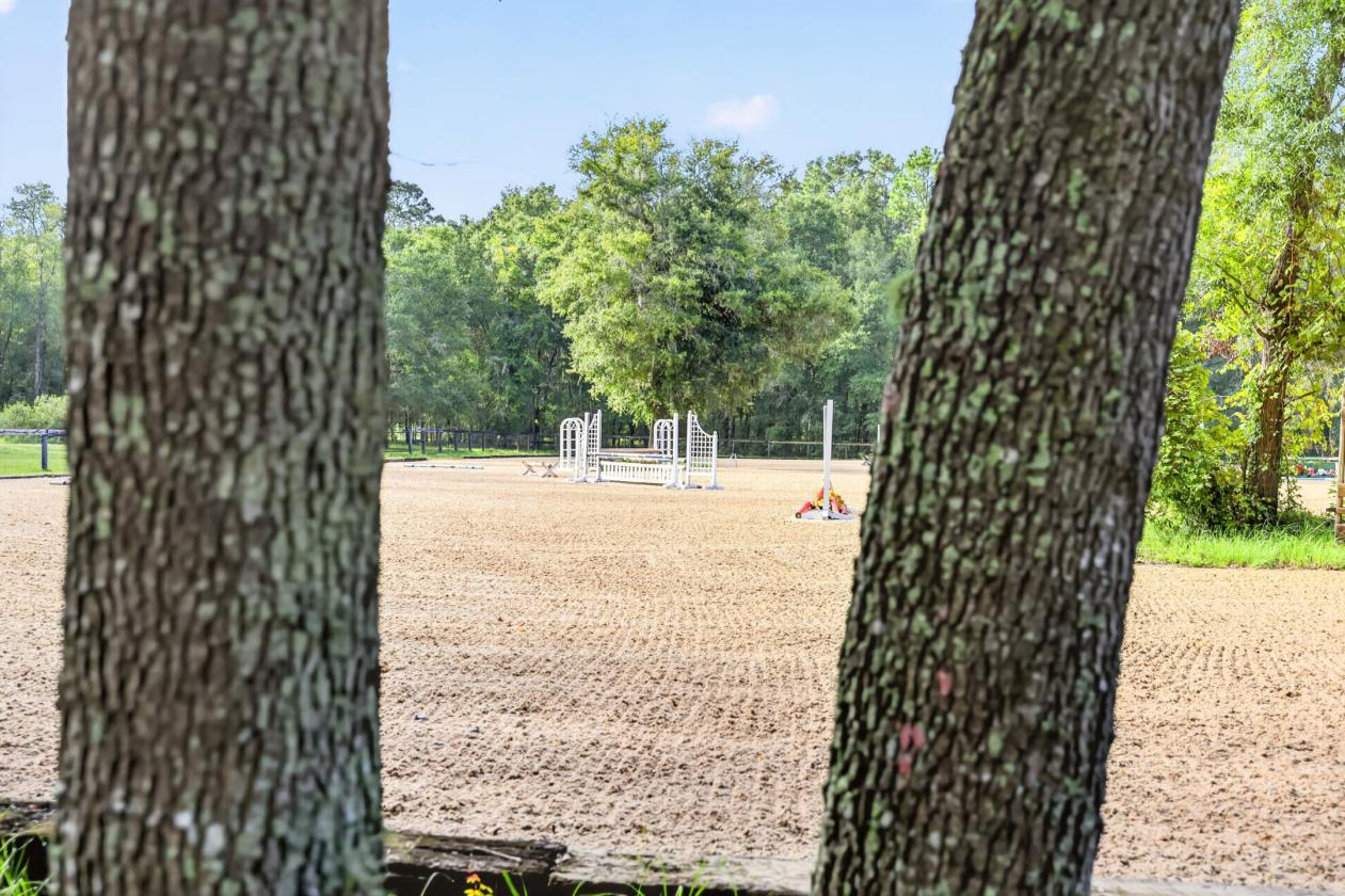 Turnkey 32-Acre Horse Property - photo 14