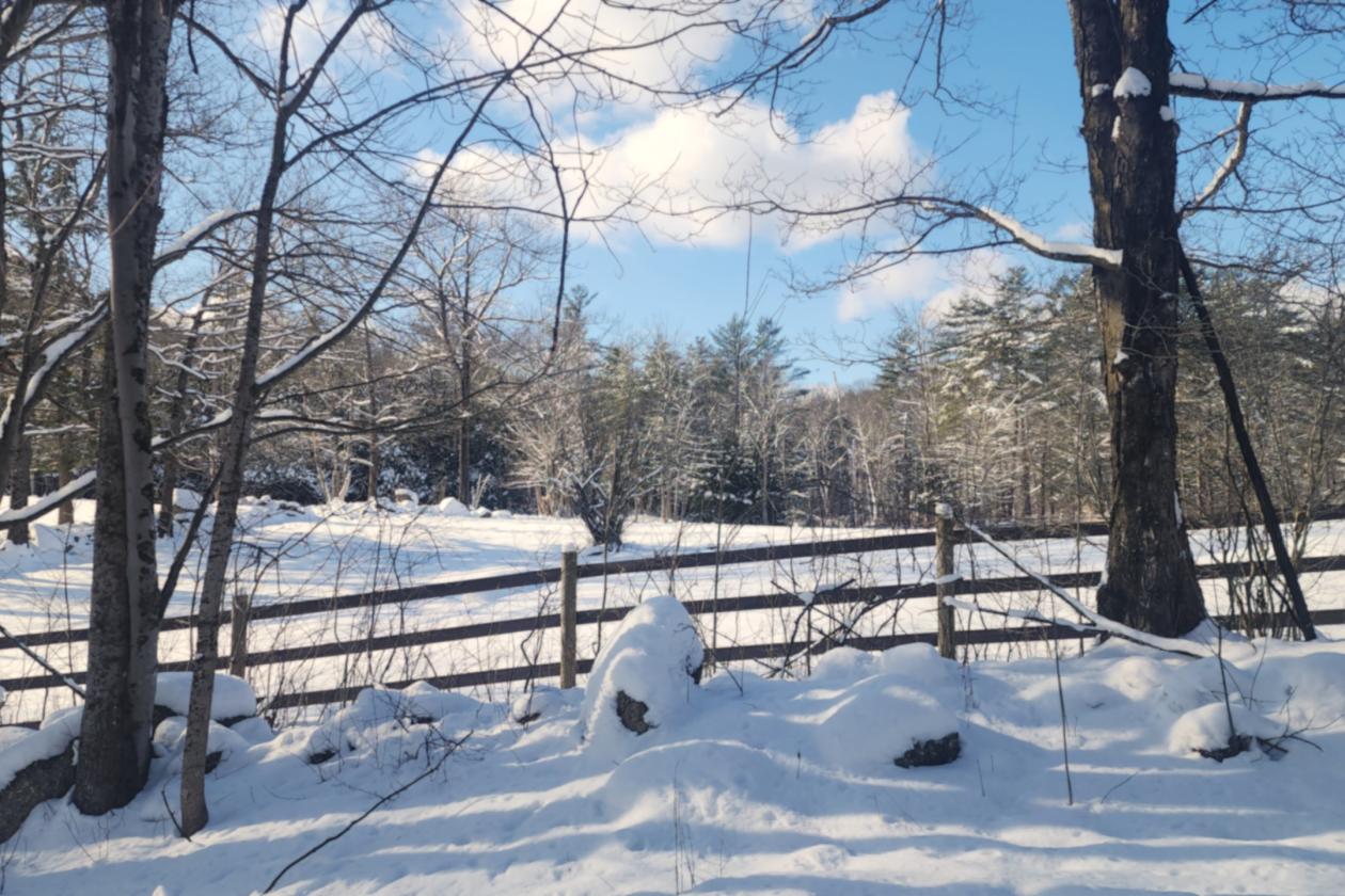 Shooting Star Farm - photo 7