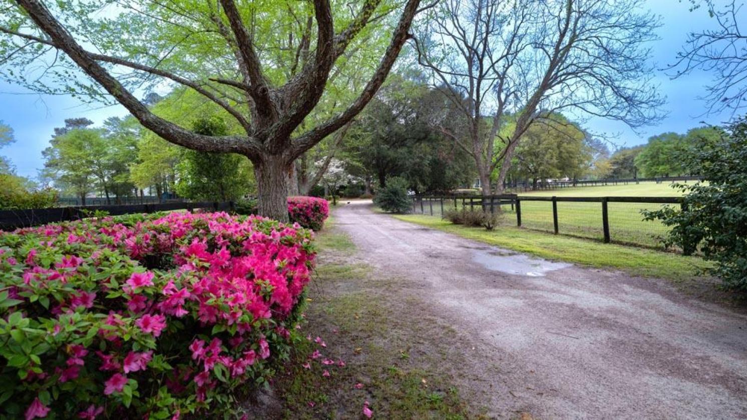 Daisy Hill Farm - Horse Property - photo 25