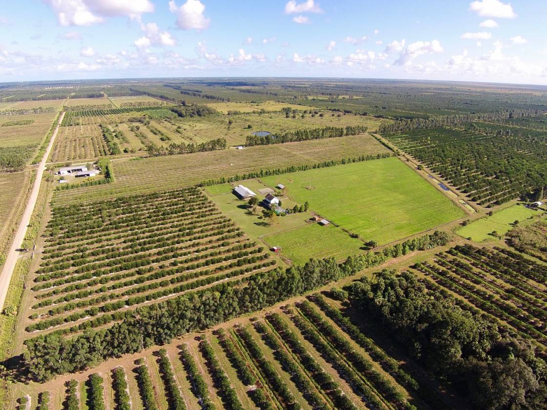 Enjoy the Country Life on a 20 Acre Farm Home! Vero Beach, Indian