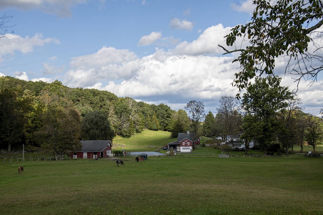 Horse Property for sale.