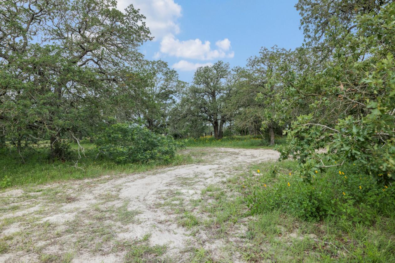 99 Unrestricted acres - photo 9