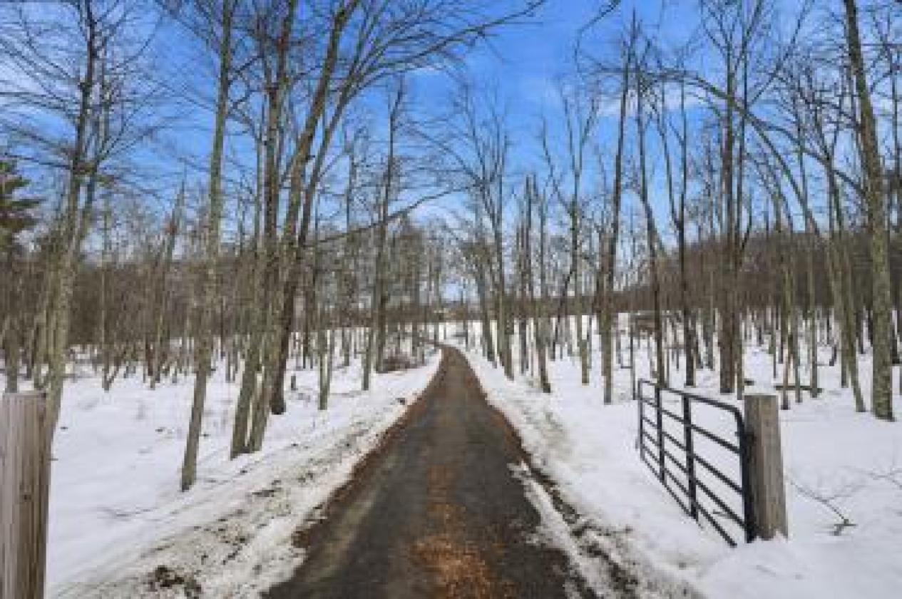 HUGE PRICE DROP! 69+ acres with renovated cabin - photo 16